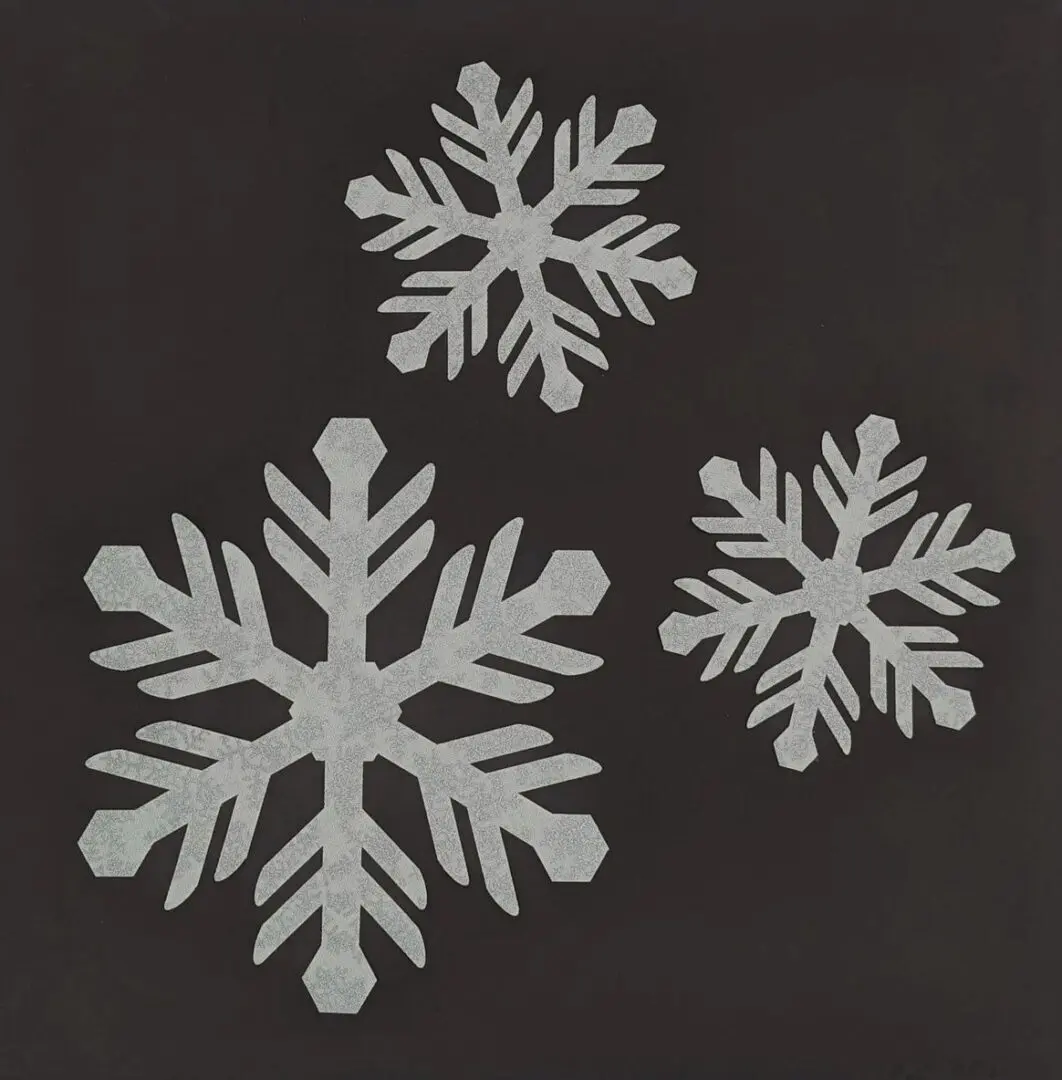 Three different sized snowflakes are shown on a black background.