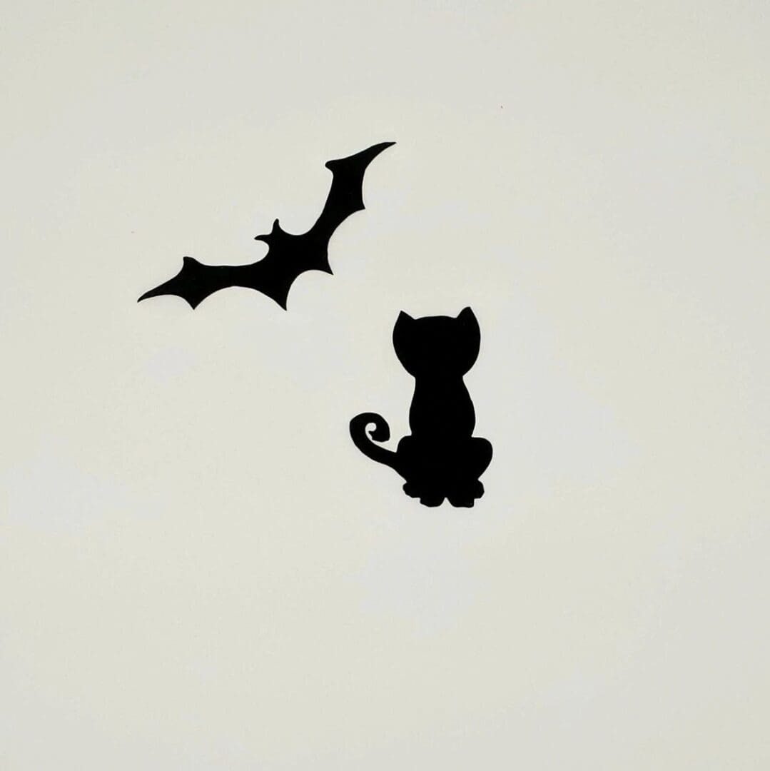 A cat and bat flying in the sky.