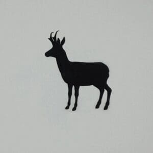 A silhouette of an animal on the side of a wall.