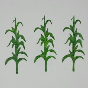 A group of green corn stalks on top of a wall.