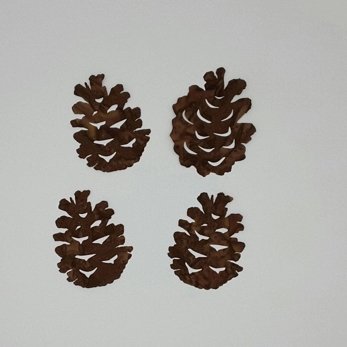 A close up of four pinecones on a white surface