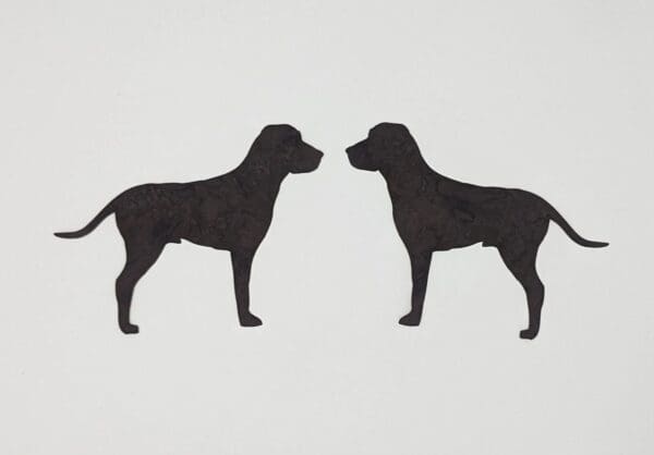 Two black dogs standing next to each other.