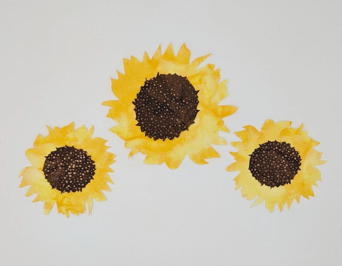 Three sunflowers are shown on a white surface.