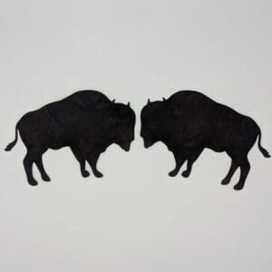 Two black buffalo standing next to each other.