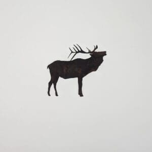 A black deer is standing on the ground