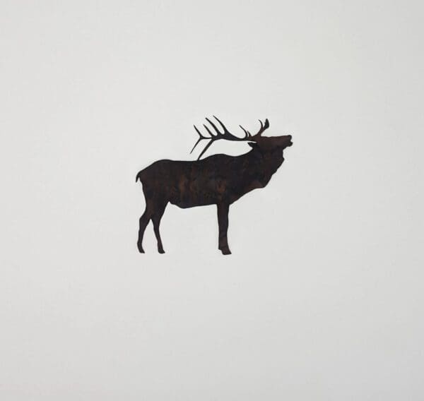 A black deer is standing on the ground