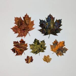 A group of leaves that are arranged in the shape of a leaf.