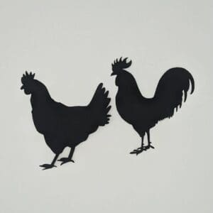 Two roosters are standing next to each other.