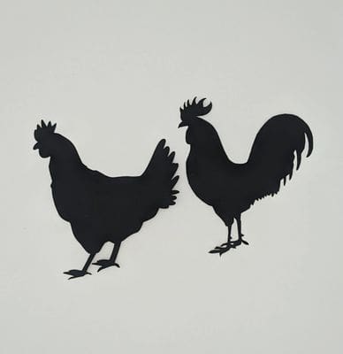 Two roosters are standing next to each other.